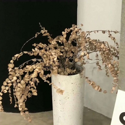 兽设城市场景创作FurryQQ群